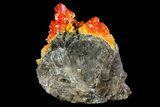 Vibrant Red Vanadinite Crystals on Calcite - Arizona #69203-1
